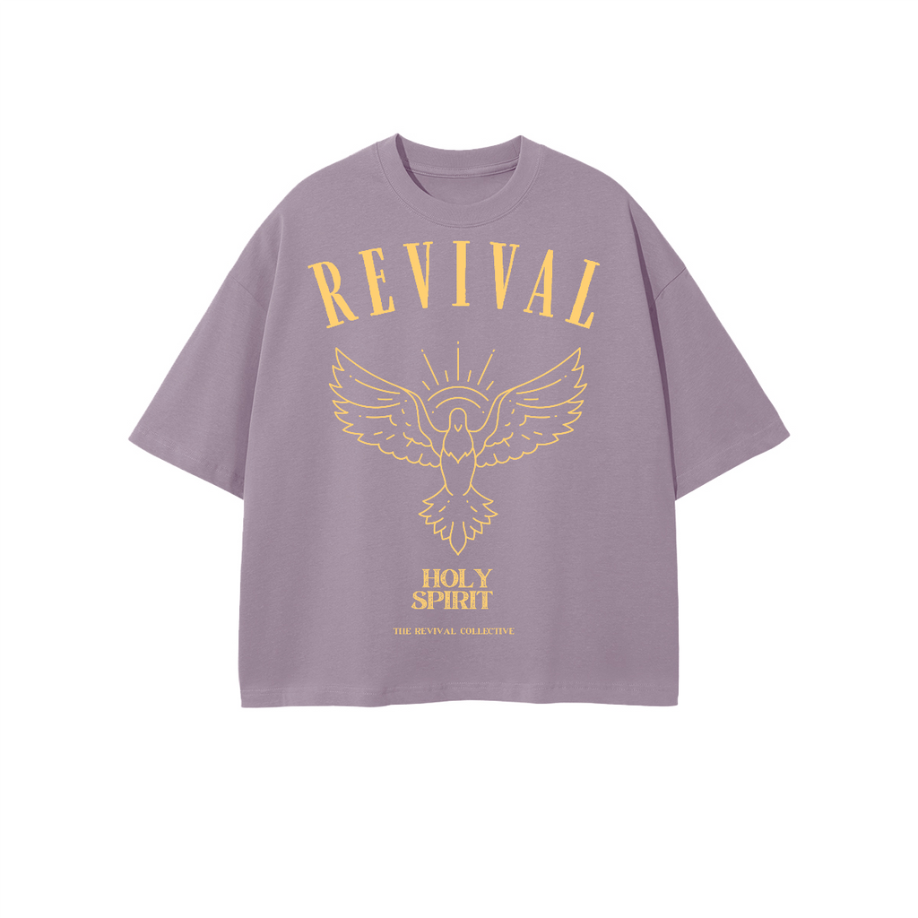 Unisex Heavyweight 100% Combed Cotton Cropped Oversized T-Shirt